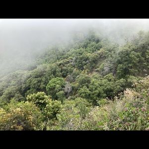 Meet your Posher, Gabriel